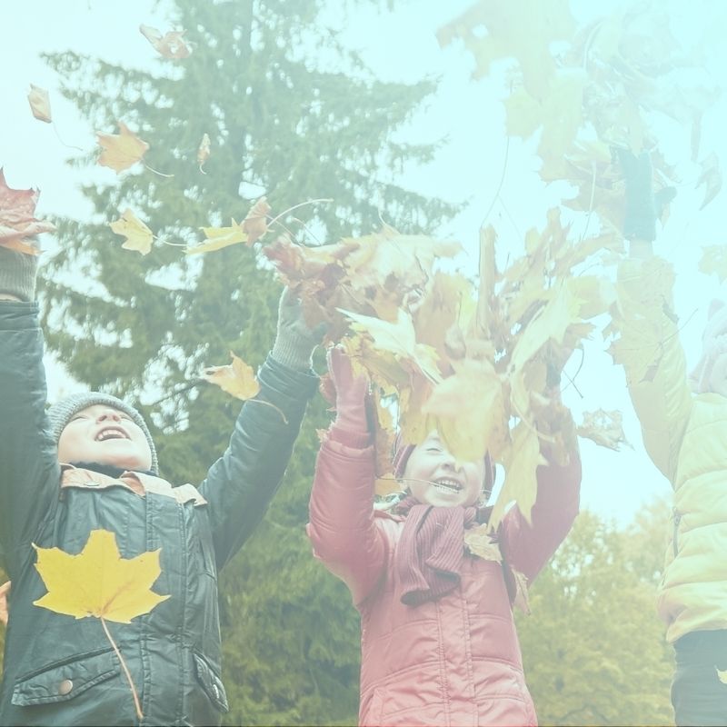 Small children laughing and throwing autumn leaves in the air - Cranberry Eco Preschool